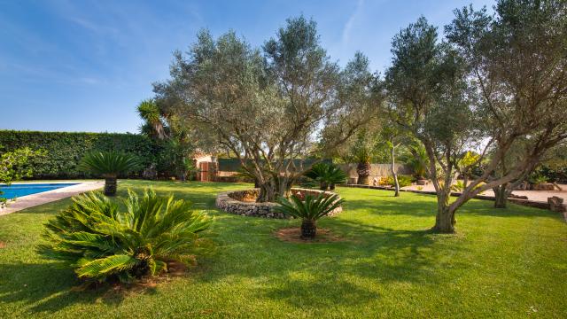 Finca Can Sanchez