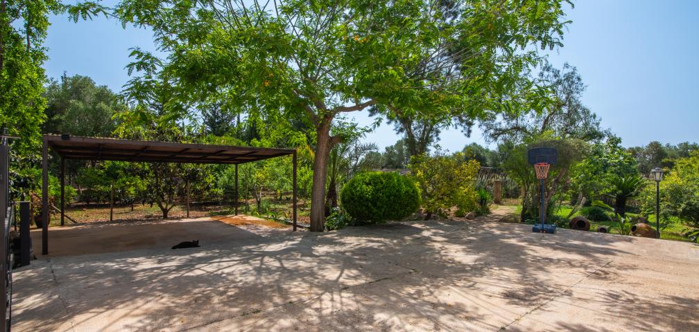 Finca Can Felip