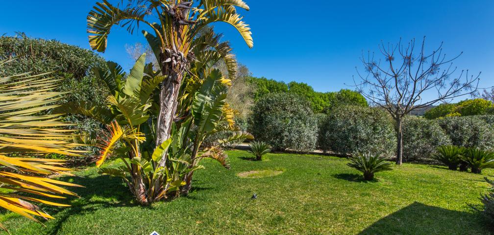 Finca Son Artigues