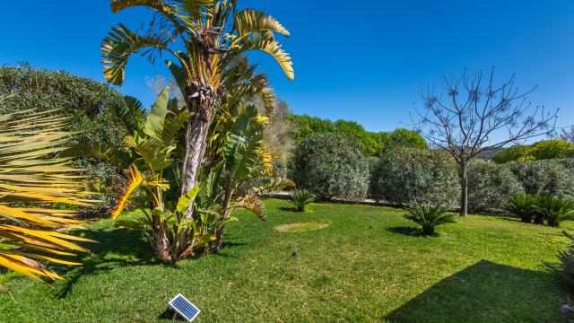 Finca Son Artigues
