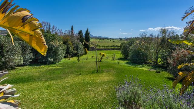 Finca Son Artigues