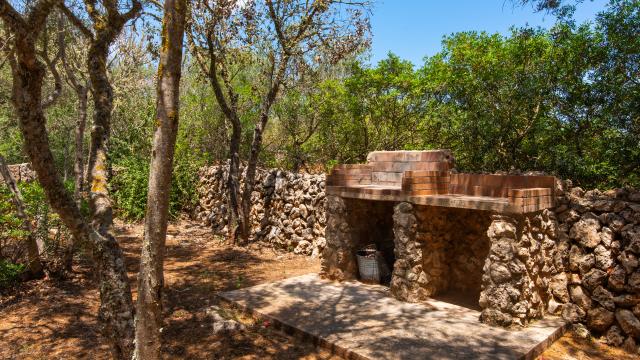 Finca Salva