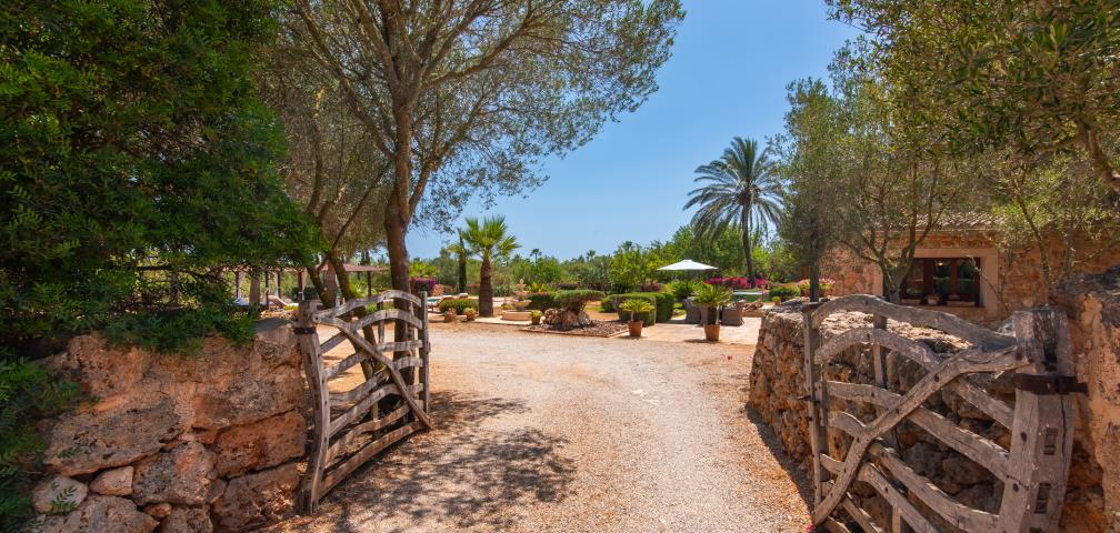 Finca Salva