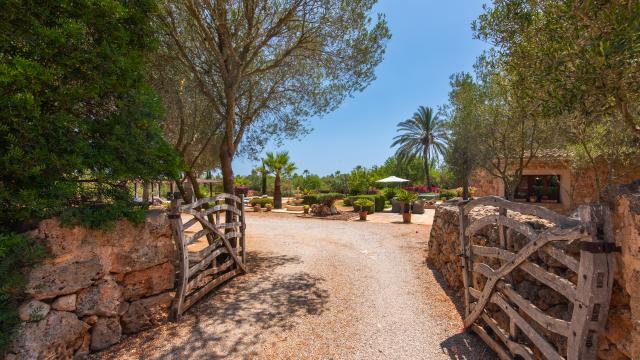 Finca Salva