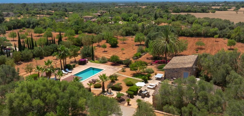 Finca Salva