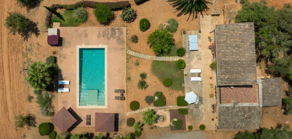 Finca Salva