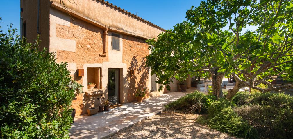 Finca Jara