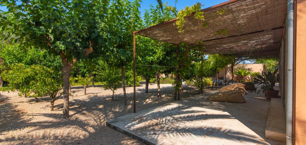 Finca Jara