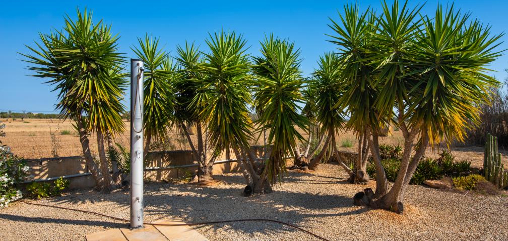 Finca Jara