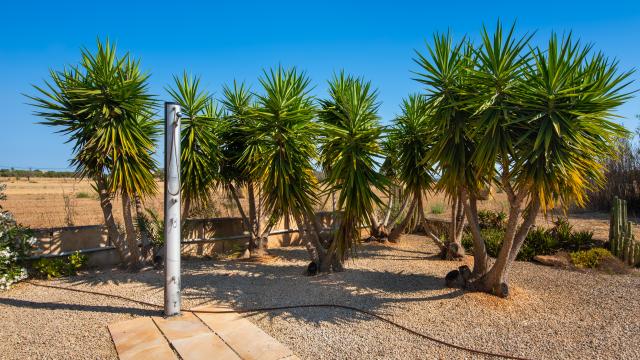Finca Jara