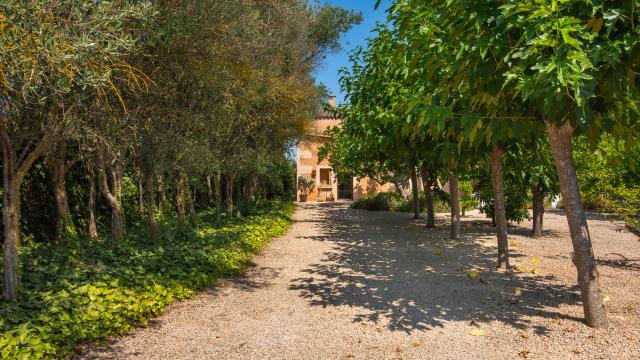 Finca Jara