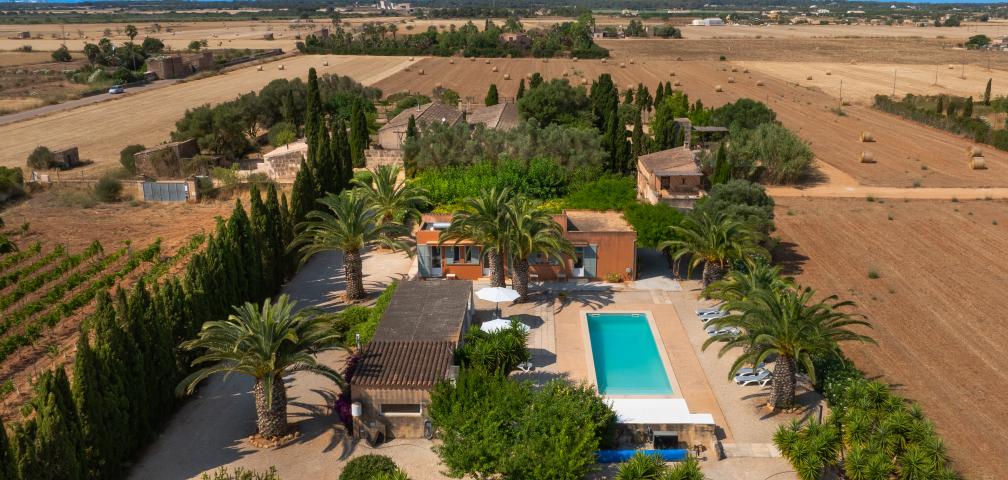 Finca Jara