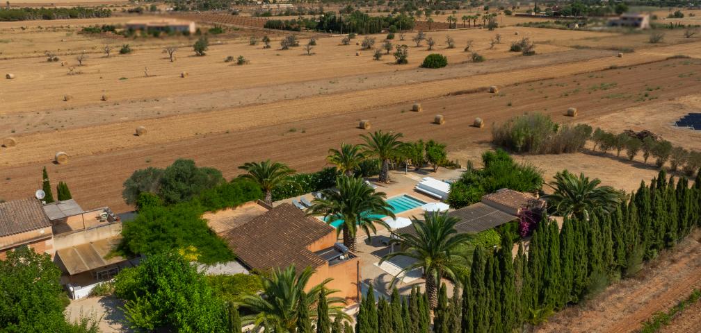 Finca Jara