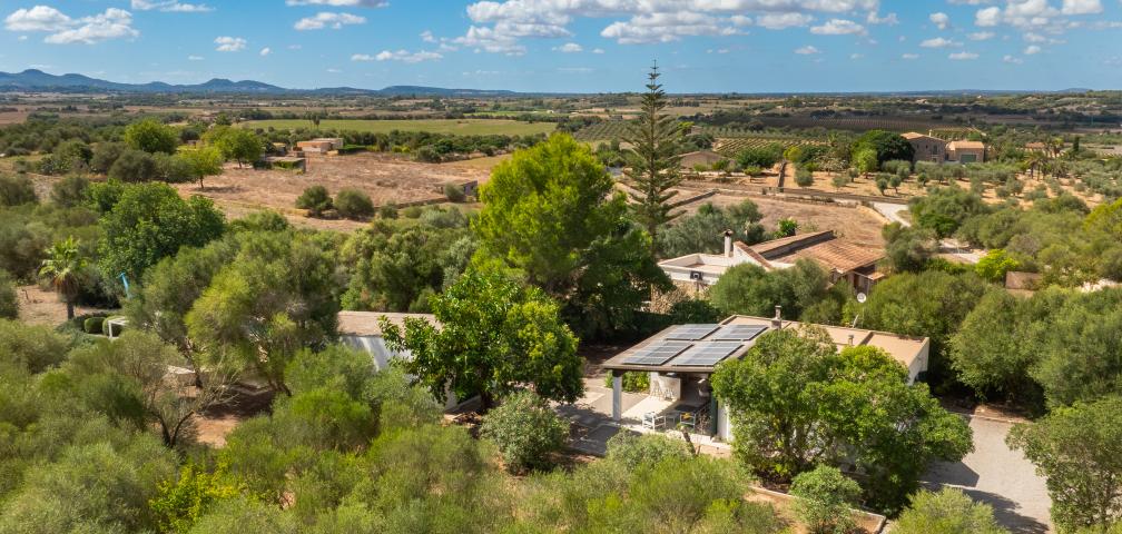Finca Casa Son Moix