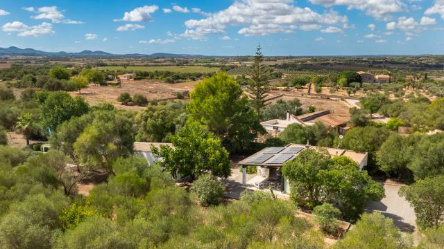 Finca Casa Son Moix