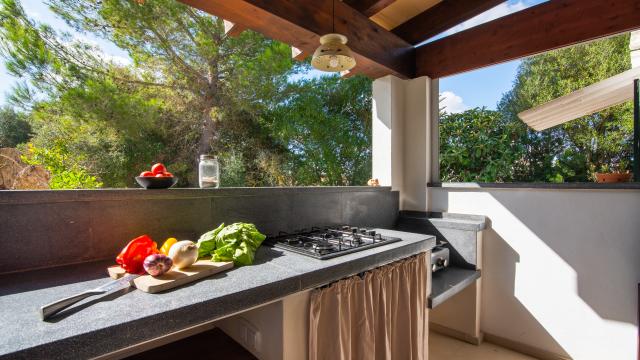 Finca Casa Son Moix