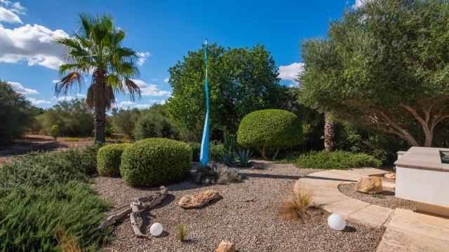 Finca Casa Son Moix
