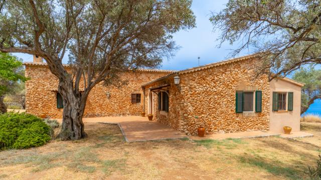 Finca Son Gallard Nou