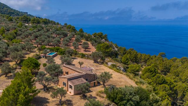 Finca Son Gallard Nou