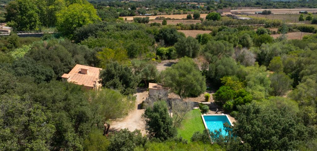 Finca Son Catiu