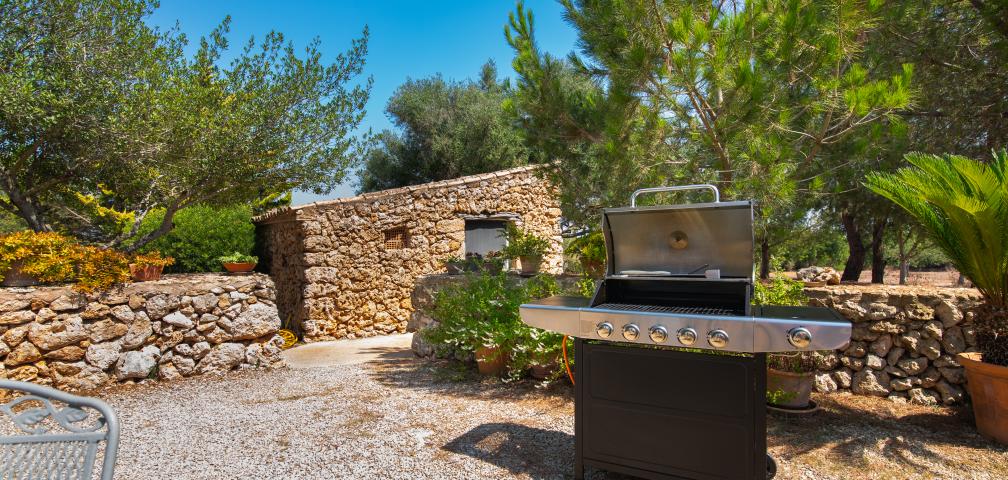 Finca Es Vedat