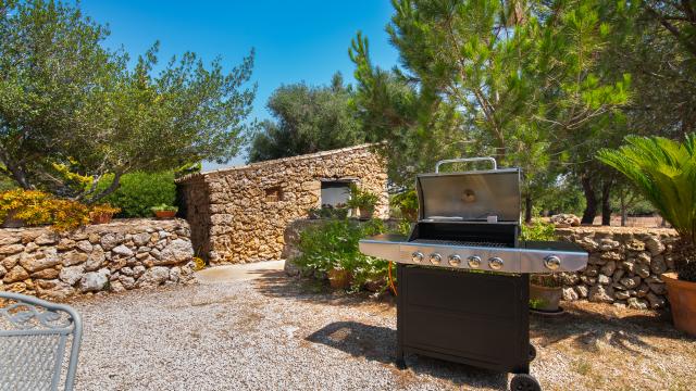 Finca Es Vedat