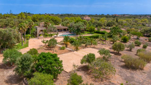 Finca Son Figo