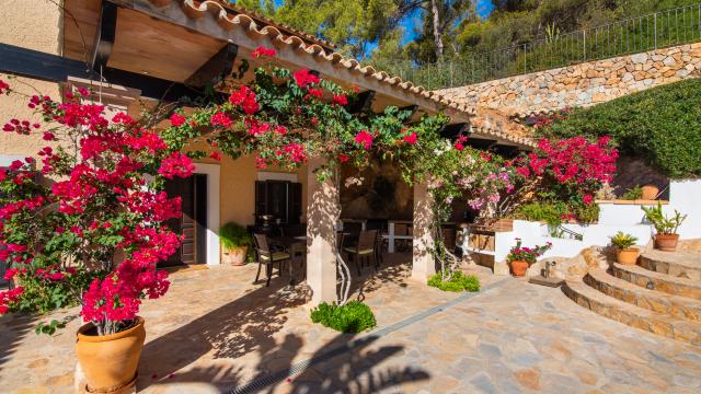 Finca Villa la Vida