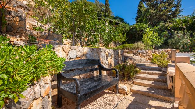 Finca Villa la Vida
