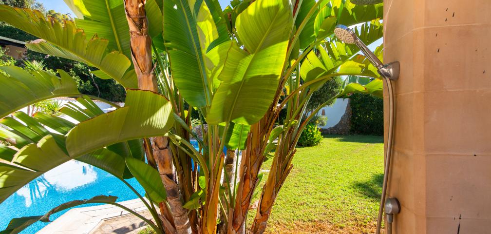 Finca Villa la Vida