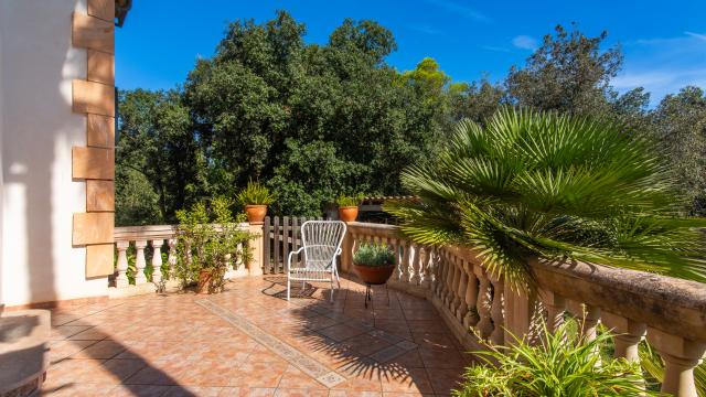 Finca Sa Font Dalt