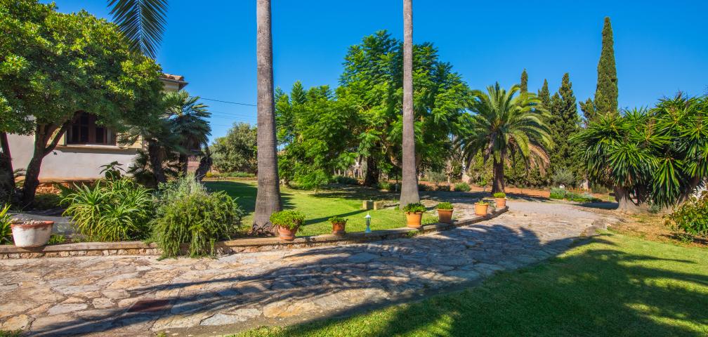 Finca Cas Sineuer