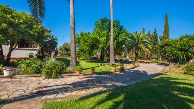 Finca Cas Sineuer