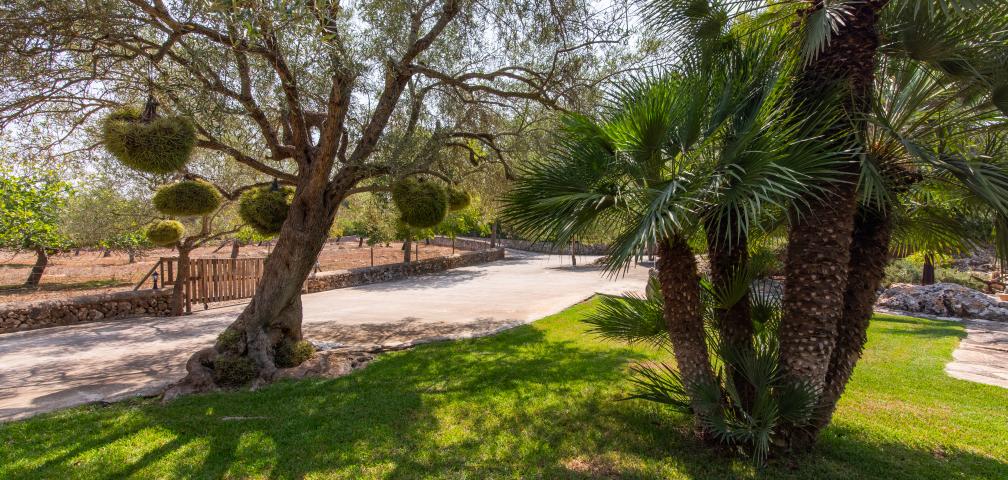 Finca Sa Petita