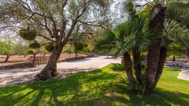 Finca Sa Petita