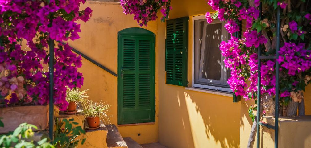 Finca Sa Capella