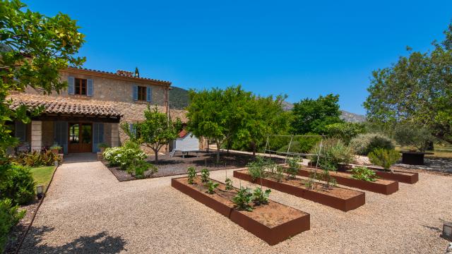 Finca La Rovina