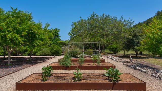 Finca La Rovina