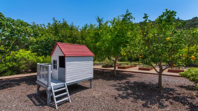 Finca La Rovina