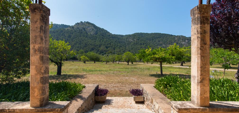 Finca La Rovina