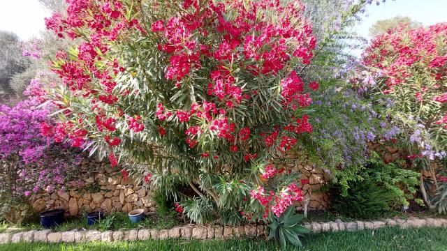 Finca Flor de la Vida