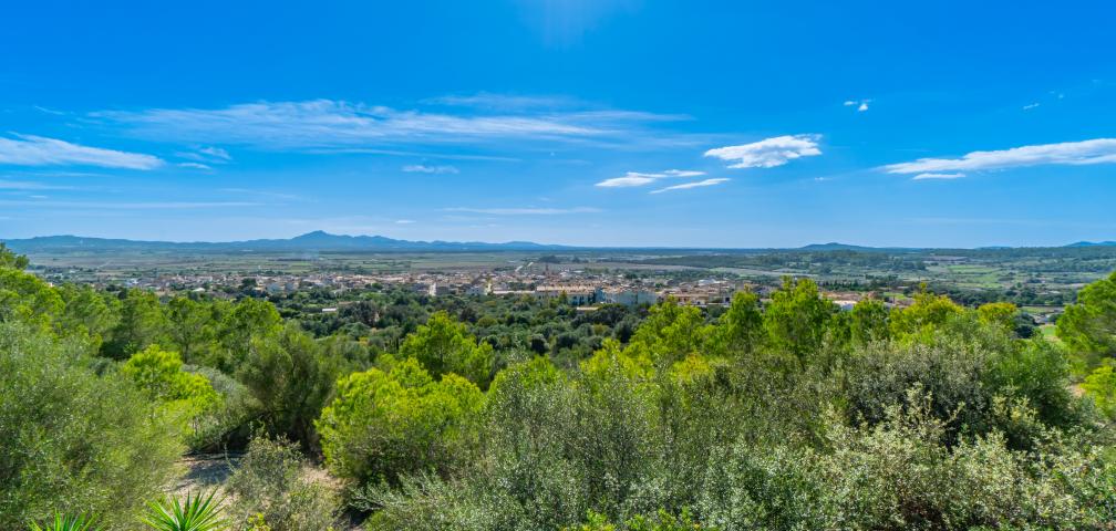 Finca Son Morei