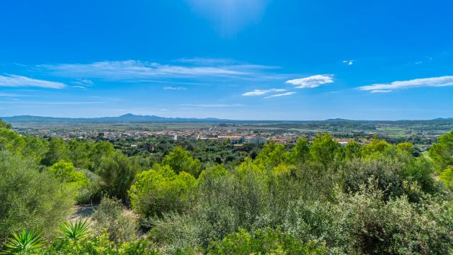 Finca Son Morei