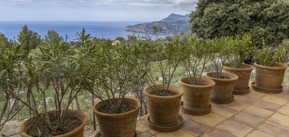 Finca Sa Galera