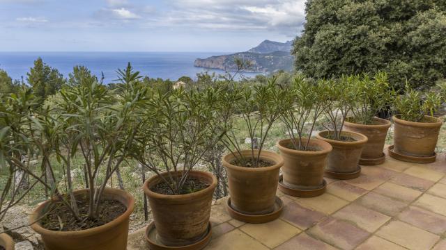 Finca Sa Galera