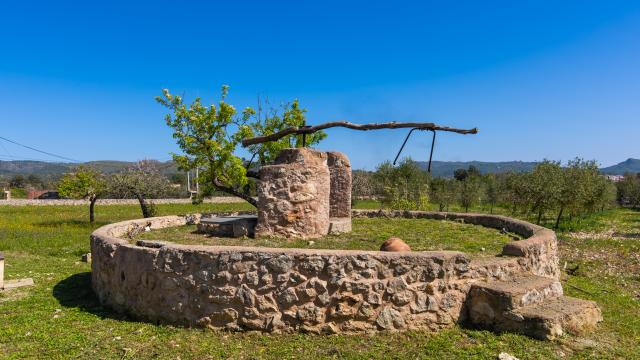 Finca Es Capritx