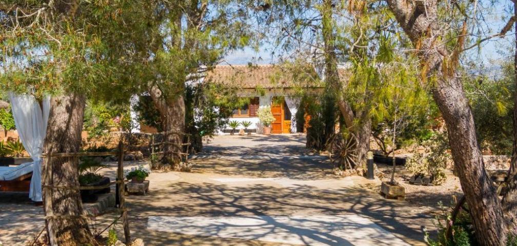 Finca Son Mulet