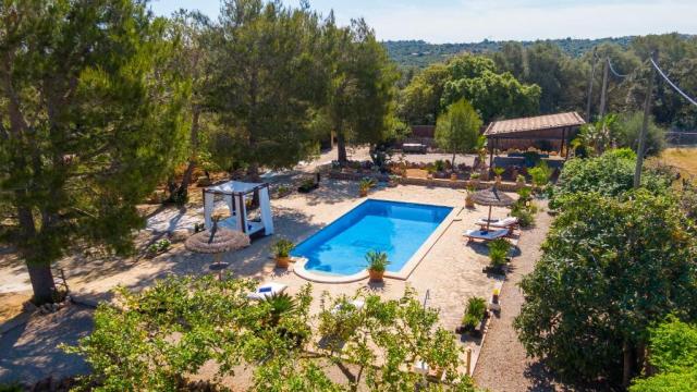 Finca Son Mulet
