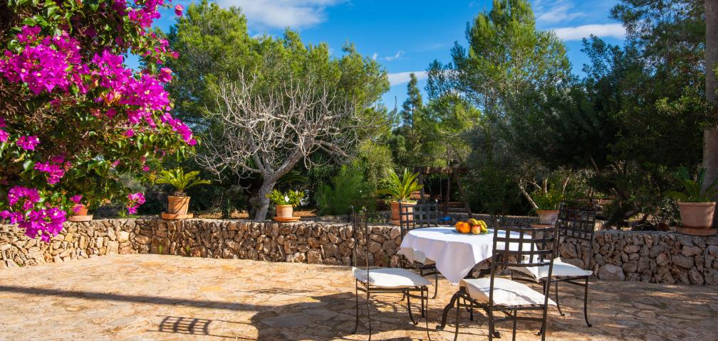 Finca Son Mulet