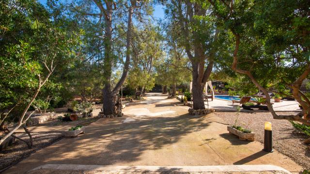 Finca Son Mulet